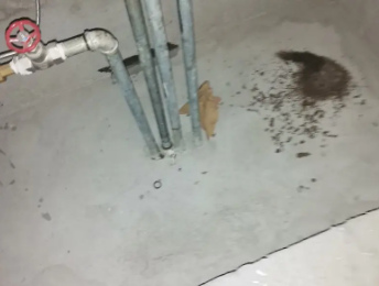 扶沟卫生间测漏水价格明细