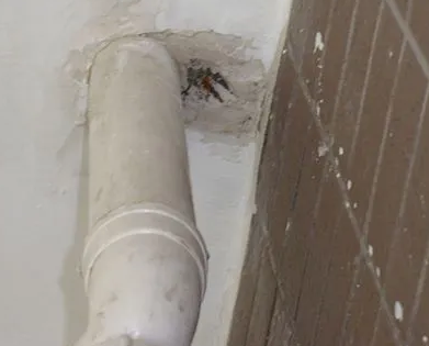 扶沟漏水检测哪家好